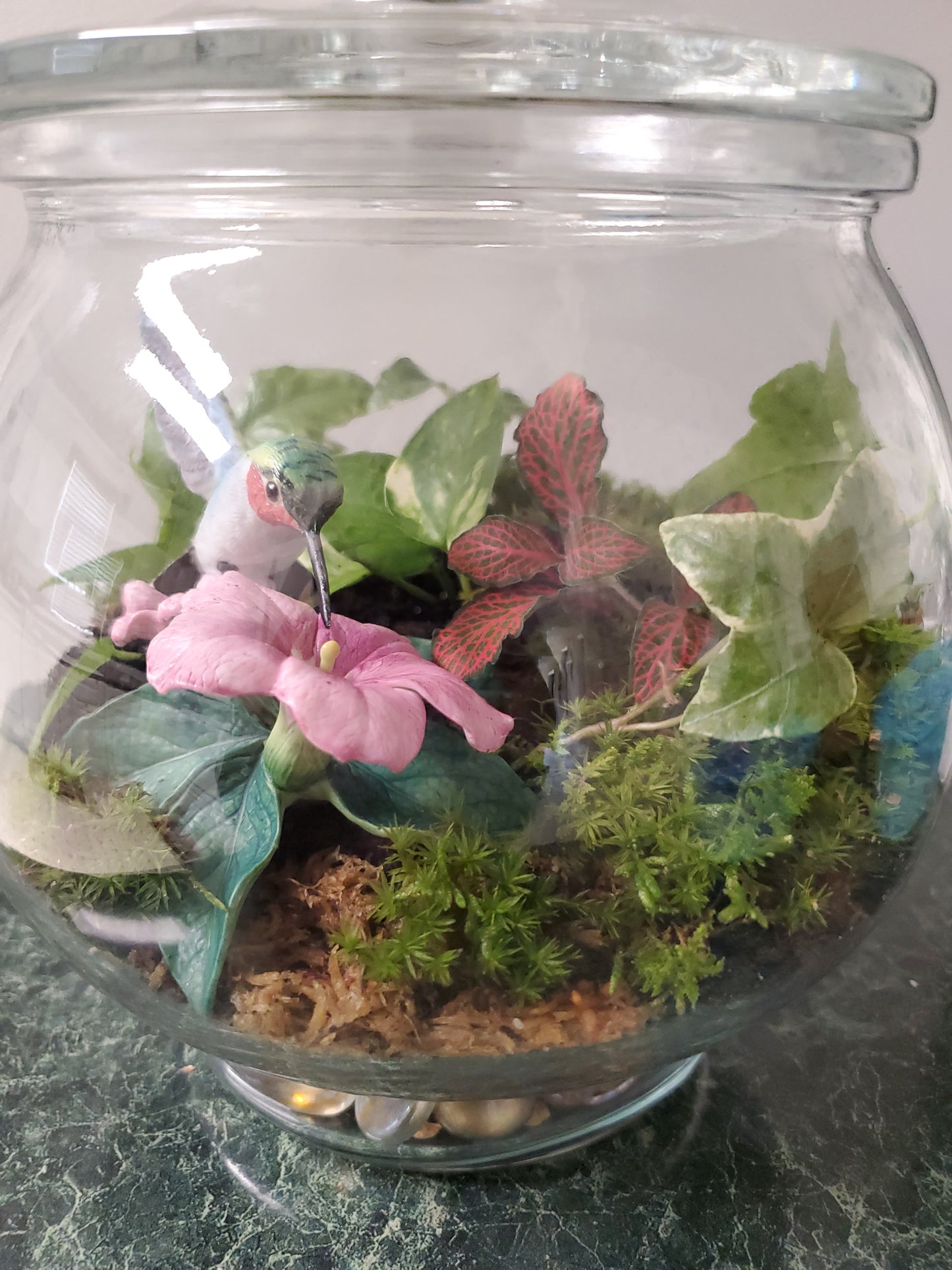 Terrarium Garden (Medium)