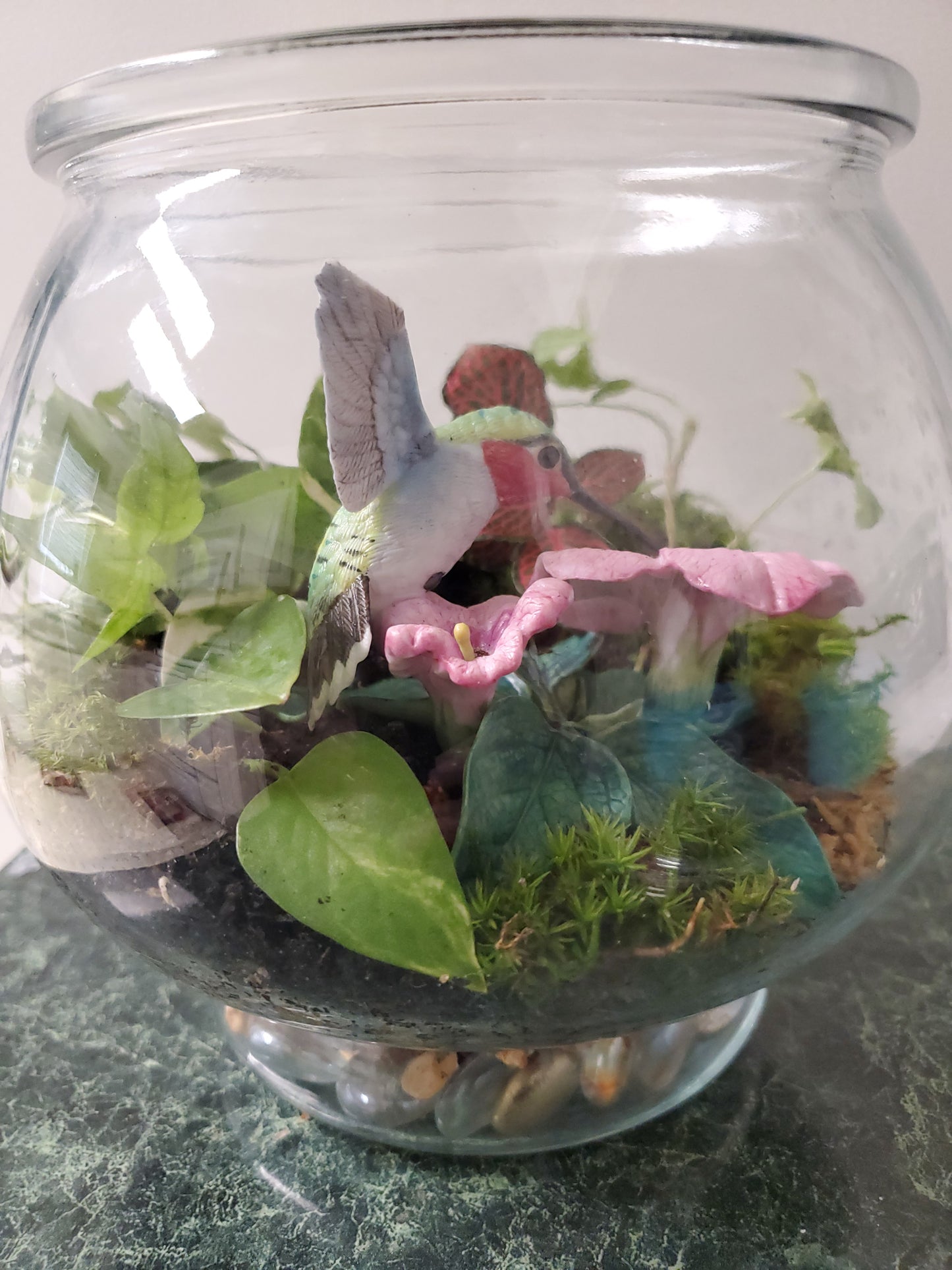 Terrarium Garden (Medium)