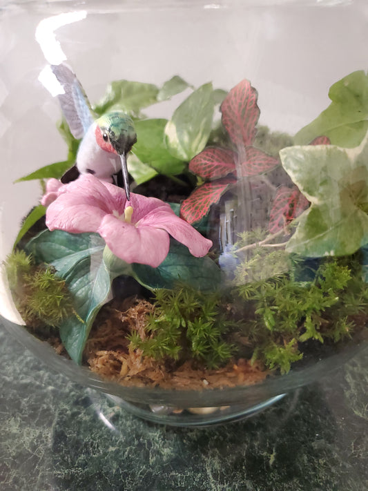 Hummingbird's Garden Terrarium