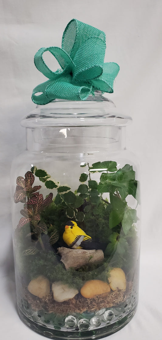 Goldfinch Garden Terrarium